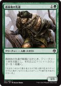 【JPN】森林地の先達/Timberland Guide[MTG_IMA_187C]