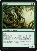 【JPN】根の壁/Wall of Roots[MTG_IMA_190C]