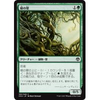 【JPN】根の壁/Wall of Roots[MTG_IMA_190C]