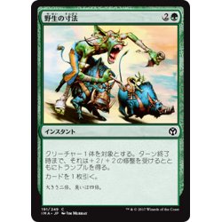 画像1: 【JPN】野生の寸法/Wildsize[MTG_IMA_191C]