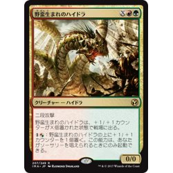 画像1: 【JPN】野蛮生まれのハイドラ/Savageborn Hydra[MTG_IMA_207R]