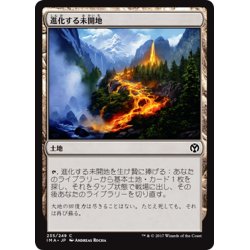 画像1: 【JPN】進化する未開地/Evolving Wilds[MTG_IMA_235C]