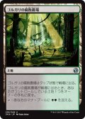 【JPN】ゴルガリの腐敗農場/Golgari Rot Farm[MTG_IMA_236U]