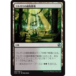 画像1: 【JPN】ゴルガリの腐敗農場/Golgari Rot Farm[MTG_IMA_236U]