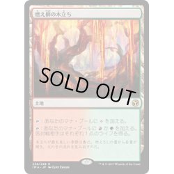 画像1: 【JPN】燃え柳の木立ち/Grove of the Burnwillows[MTG_IMA_238R]