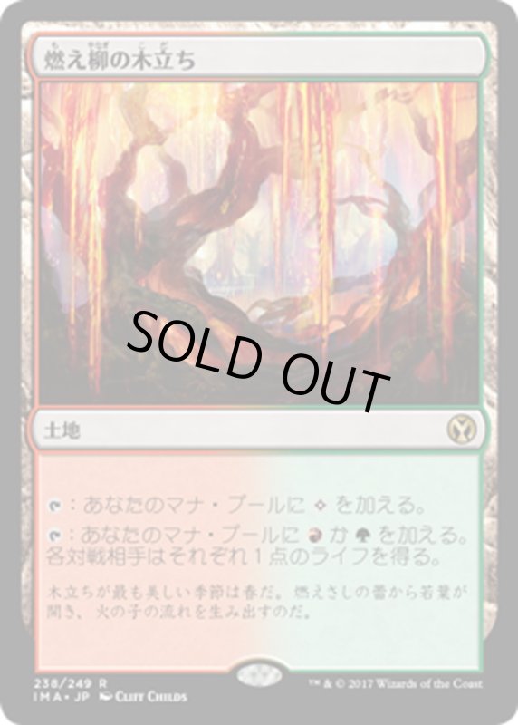 画像1: 【JPN】燃え柳の木立ち/Grove of the Burnwillows[MTG_IMA_238R] (1)