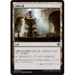 画像1: 【JPN】光輝の泉/Radiant Fountain[MTG_IMA_244C]