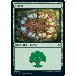 画像1: 【ENG】森/Forest[MTG_JMP_072L]