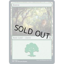 画像1: 【ENG】森/Forest[MTG_JMP_074L]