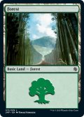 【ENG】森/Forest[MTG_JMP_075L]