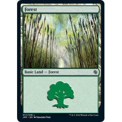 画像1: 【ENG】森/Forest[MTG_JMP_077L]