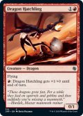 【ENG】ドラゴンの雛/Dragon Hatchling[MTG_JMP_310C]