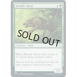 画像1: 【ENG】斑の子猪/Brindle Shoat[MTG_JMP_380U]