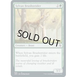 画像1: 【ENG】森の刷毛履き/Sylvan Brushstrider[MTG_JMP_434C]