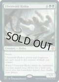 【ENG】ウルヴェンワルドのハイドラ/Ulvenwald Hydra[MTG_JMP_439Ｍ]