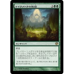 画像1: 【JPN】ケイラメトラの指図/Dictate of Karametra[MTG_JOU_121R]