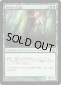 【JPN】開花の幻霊/Eidolon of Blossoms[MTG_JOU_122R]