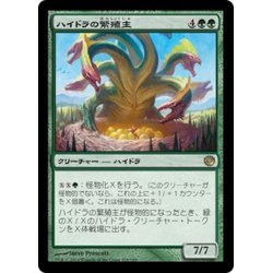 画像1: 【JPN】ハイドラの繁殖主/Hydra Broodmaster[MTG_JOU_128R]