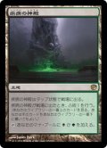 【JPN】疾病の神殿/Temple of Malady[MTG_JOU_165R]