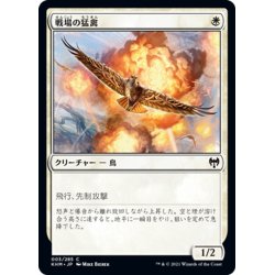 画像1: 【JPN】戦場の猛禽/Battlefield Raptor[MTG_KHM_003Ｃ]