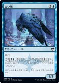 【JPN】占い鴉/Augury Raven[MTG_KHM_044Ｃ]