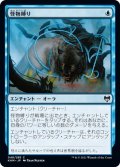 【JPN】怪物縛り/Bind the Monster[MTG_KHM_048Ｃ]