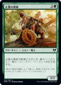 【JPN】古葉の導師/Elderleaf Mentor[MTG_KHM_165Ｃ]