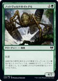 【JPN】ノットヴォルドのイトグモ/Gnottvold Recluse[MTG_KHM_172Ｃ]