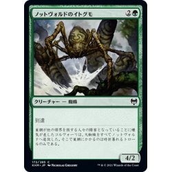 画像1: 【JPN】ノットヴォルドのイトグモ/Gnottvold Recluse[MTG_KHM_172Ｃ]