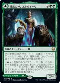 【JPN】種族の神、コルヴォーリ/Kolvori, God of Kinship/リングハルトの紋/The Ringhart Crest[MTG_KHM_181Ｒ]