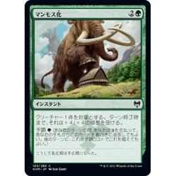 画像1: 【JPN】マンモス化/Mammoth Growth[MTG_KHM_183Ｃ]