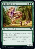 【JPN】貪欲なリンドワーム/Ravenous Lindwurm[MTG_KHM_187Ｃ]