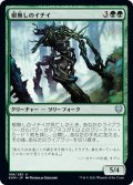 【JPN】根無しのイチイ/Rootless Yew[MTG_KHM_189Ｕ]