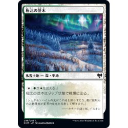 画像1: 【JPN】極北の並木/Arctic Treeline[MTG_KHM_249Ｃ]