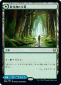 【JPN】樹皮路の小道/Barkchannel Pathway/潮水路の小道/Tidechannel Pathway[MTG_KHM_251Ｒ]