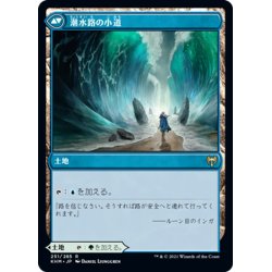 画像2: 【JPN】樹皮路の小道/Barkchannel Pathway/潮水路の小道/Tidechannel Pathway[MTG_KHM_251Ｒ]