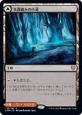 【JPN】荒廃踏みの小道/Blightstep Pathway/灼熱踏みの小道/Searstep Pathway[MTG_KHM_252Ｒ]