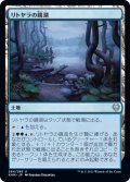 【JPN】リトヤラの鏡湖/Littjara Mirrorlake[MTG_KHM_264Ｕ]