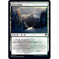 画像1: 【JPN】森林の地割れ/Woodland Chasm[MTG_KHM_274Ｃ]