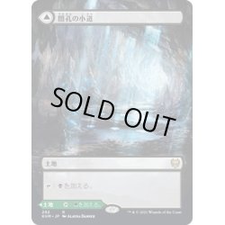 画像1: 【JPN】闇孔の小道/Darkbore Pathway/蛇孔の小道/Slitherbore Pathway[MTG_KHM_292Ｒ]