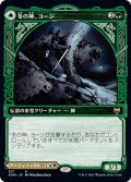 【JPN】冬の神、ヨーン/Jorn, God of Winter/霧氷杖、カルドリング/Kaldring, the Rimestaff[MTG_KHM_317Ｒ]