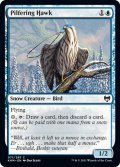 【ENG】くすねる鷹/Pilfering Hawk[MTG_KHM_071Ｃ]