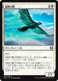 【JPN】渦跡の鷹/Eddytrail Hawk[MTG_KLD_012C]