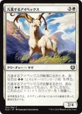 【JPN】亢進するアイベックス/Thriving Ibex[MTG_KLD_031C]