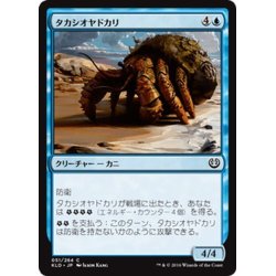 画像1: 【JPN】タカシオヤドカリ/Hightide Hermit[MTG_KLD_051C]