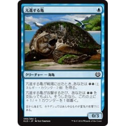 画像1: 【JPN】亢進する亀/Thriving Turtle[MTG_KLD_066C]