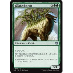 画像1: 【JPN】高木背の踏みつけ/Arborback Stomper[MTG_KLD_142U]