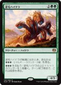 【JPN】逆毛ハイドラ/Bristling Hydra[MTG_KLD_147R]