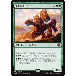 画像1: 【JPN】逆毛ハイドラ/Bristling Hydra[MTG_KLD_147R]