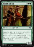 【JPN】洗練された鍛刃士/Elegant Edgecrafters[MTG_KLD_154U]